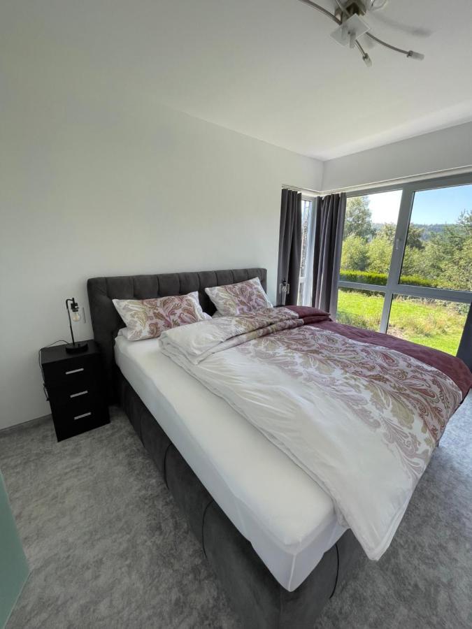 Villa Wanderlux Zella-Mehlis Zewnętrze zdjęcie